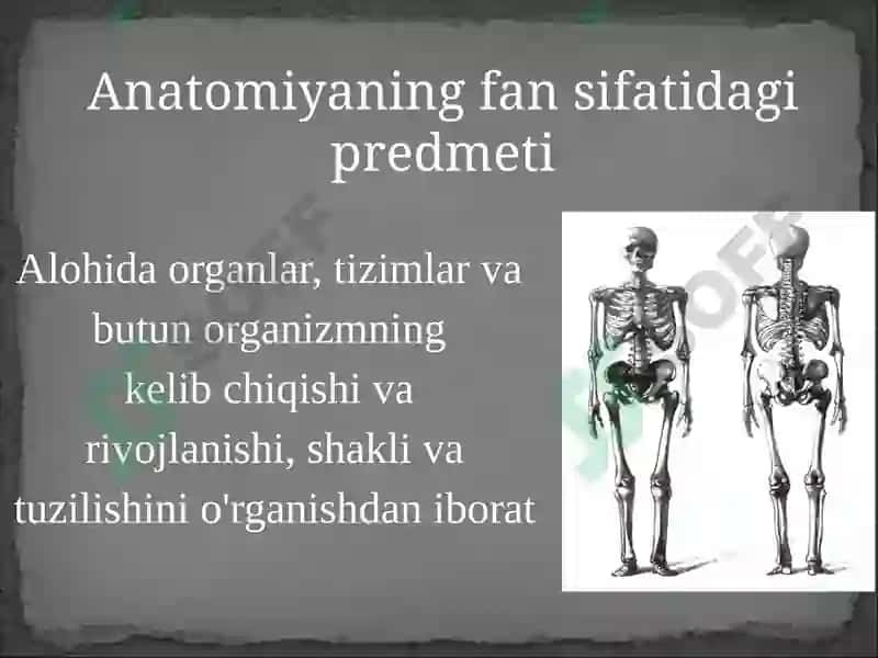 Kirish. Odam anatomiyasi fanining predmeti, maqsadi, vazifalari, o‘rganish usullari, biologiya fanlari  sistemasida tutgan o‘rni. Anatomiya fanining rivojlanish tarixi. Anatomiya tarmoqlari haqida tushuncha. 3