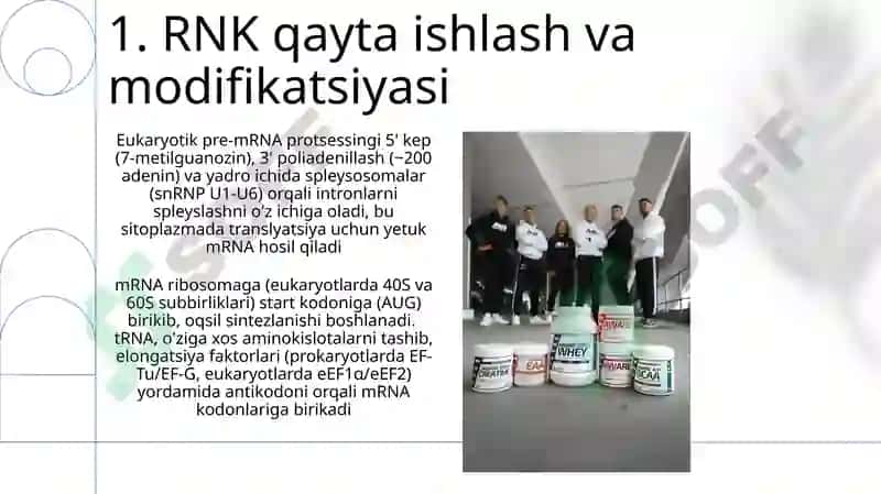 Oqsil biosintezi va uning genetik darajasidagi regulyatsiyasi 3