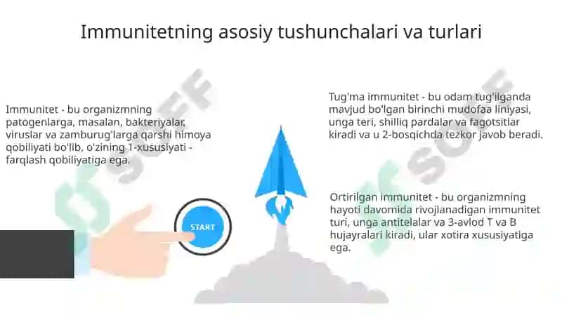 Immunitethaqidatushuncha 3