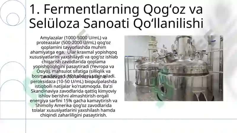Fermentlar va ulardan ishlab chiqarishda foydalanish 3