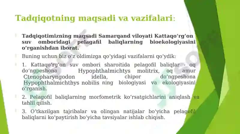 KATTAQO‘RG‘ON SUV OMBORIDA YETISHTIRILADIGAN PELAGOFIL BALIQLARNING BIOEKOLOGIYASI 3