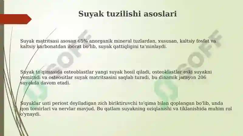 Suyak Tuzilishi va Funksiyalari 3