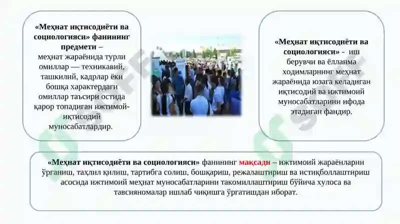 Меҳнат иқтисодиёти ва социологияси 3