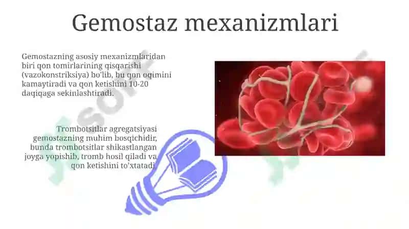 Gemostaz mexanizmlari va uning patologiyasi 3