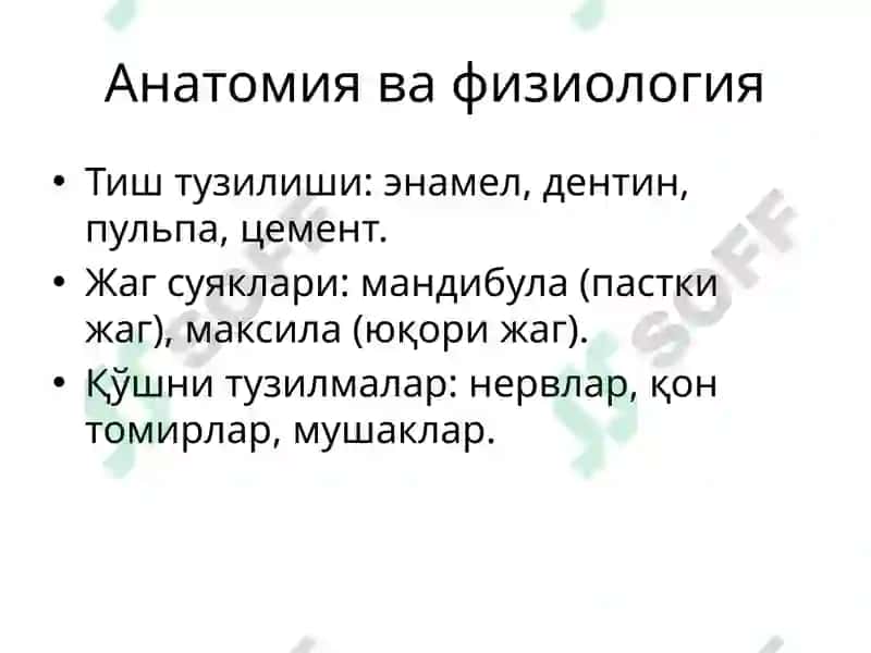 Тиш ва Жаг Суякларининг Шикастланишлари ва Синишлари 3