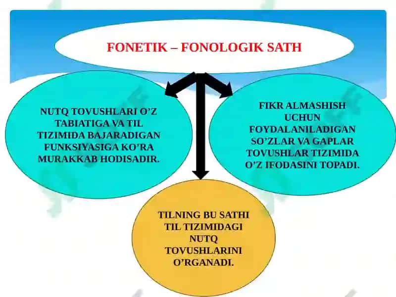 FONETIK–FONOLOGIK VA LEKSIK SATH 3