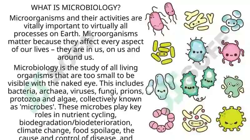 Microbiology Lecture Notes 3