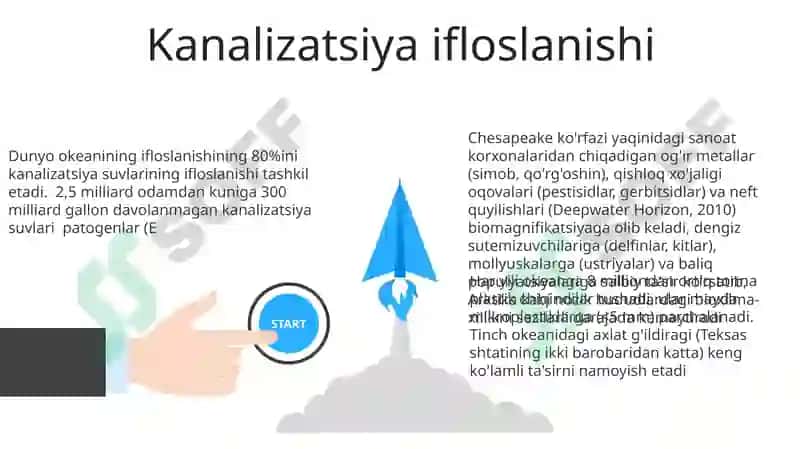 Okean suvlarining ifloslanish turlari va undagi hayotga ta’siri 3