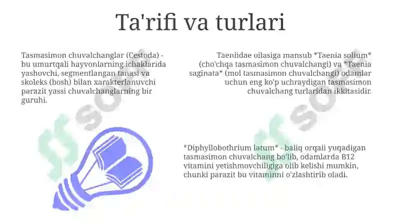 Tasmasimon chuvalchanglar 3