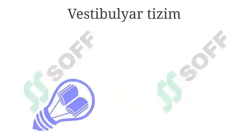 Hid bilish analizatorlar fiziologiyasi 3
