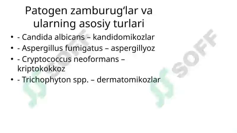 Mikozlar haqida umumiy tushuncha 3