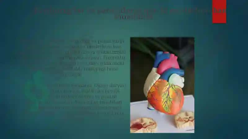 Zamburug'lar va parazitlarga qarshi moslashuvchan immunitet 3