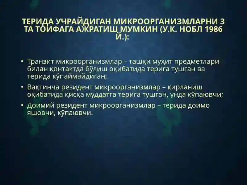 Терининг йирингли касалликлари-пиодермитлар 3