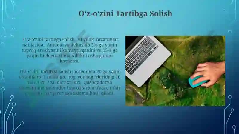 Landshaftlarning tizim sifatidagi xususiyatlari 3