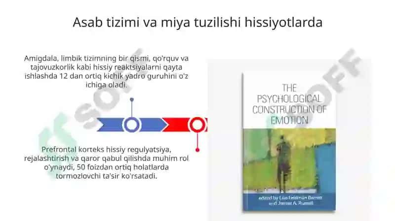 Hissiyot va Emotsional Holatlarning Fiziologik Asoslari 3