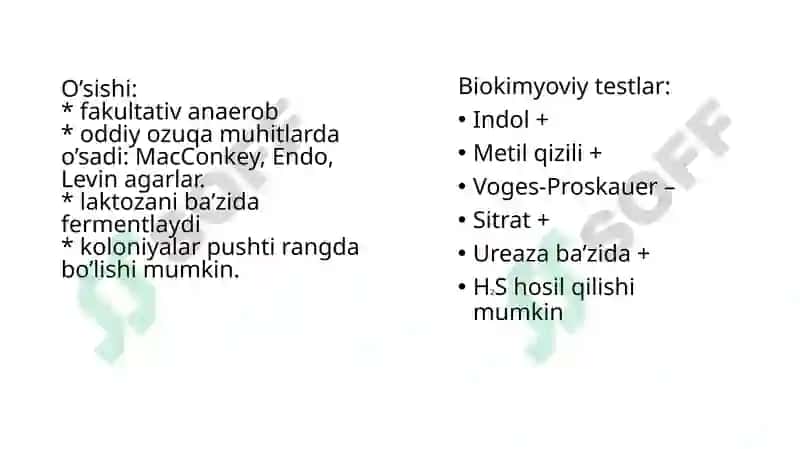 Shartli patogen dioriyaogen ichak gruppa bakteriyalari Sitrobakter, Klebsiella, Enterobakter 3