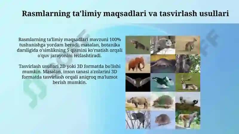 Rasmlarning ta'limiy maqsadlari va tasvirlash usullari 3
