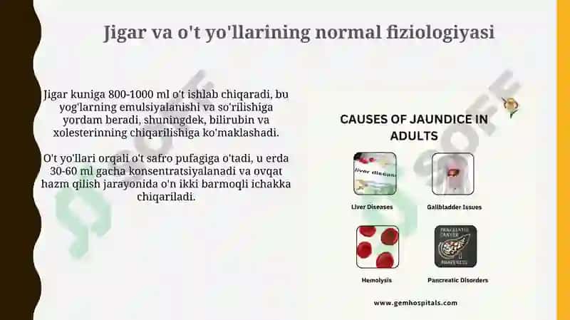 Jigar va o't yo'llari patafizialogiyasi 3