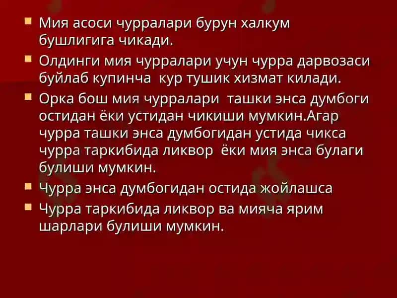 Бош мия тугма чурралари 3