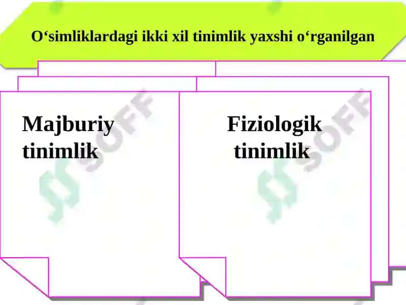 O‘simliklarning harakatlari 3