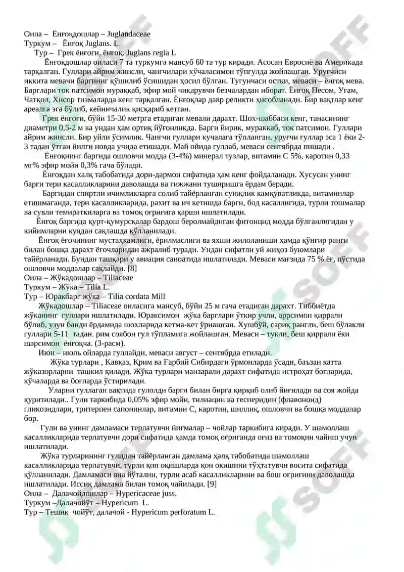 Эфир мойли ўсимликлар 3