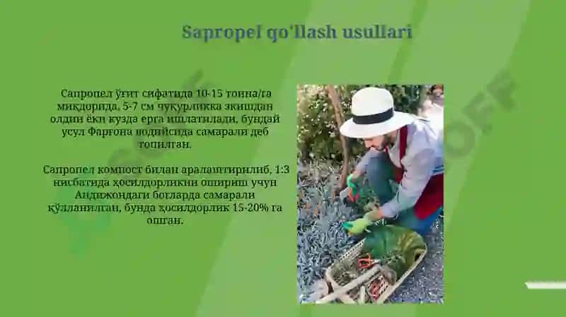 Sapropel va boshqa mahalliy o'g'itlar,ulardan foydalanish yo'llari 3