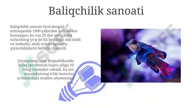 Baliqlar va dengizda yashovchilar 3
