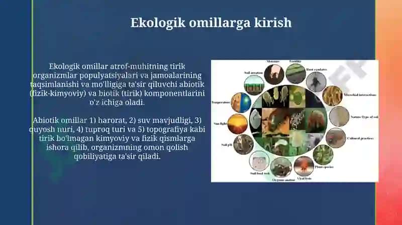 Ekologik omillar va biotik o'zaro ta'sirlar 3