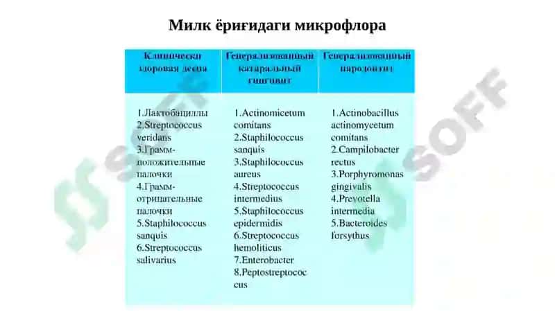 Гингивитлар 3