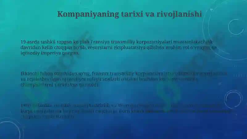 Fransiya Transmilliy korporatsiyasi 3