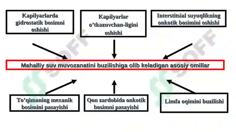 ANGIONEVROTIK SHISHI 3