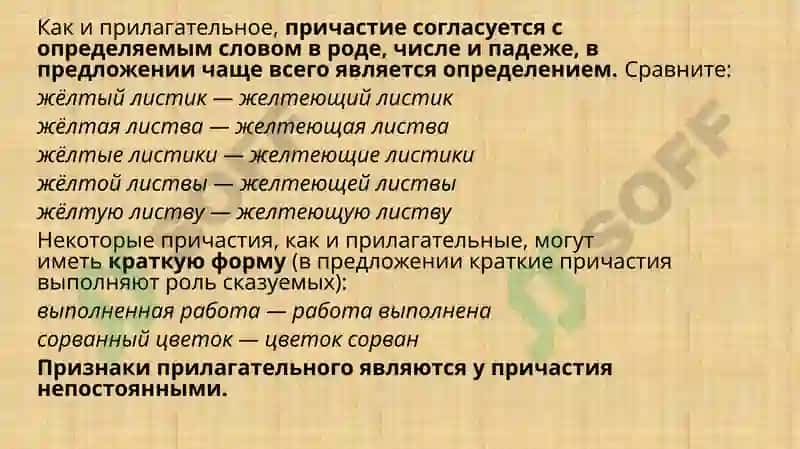Причастие 3