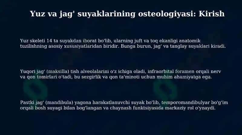 Yuz va jag' suyaklarining osteologiyasi 3