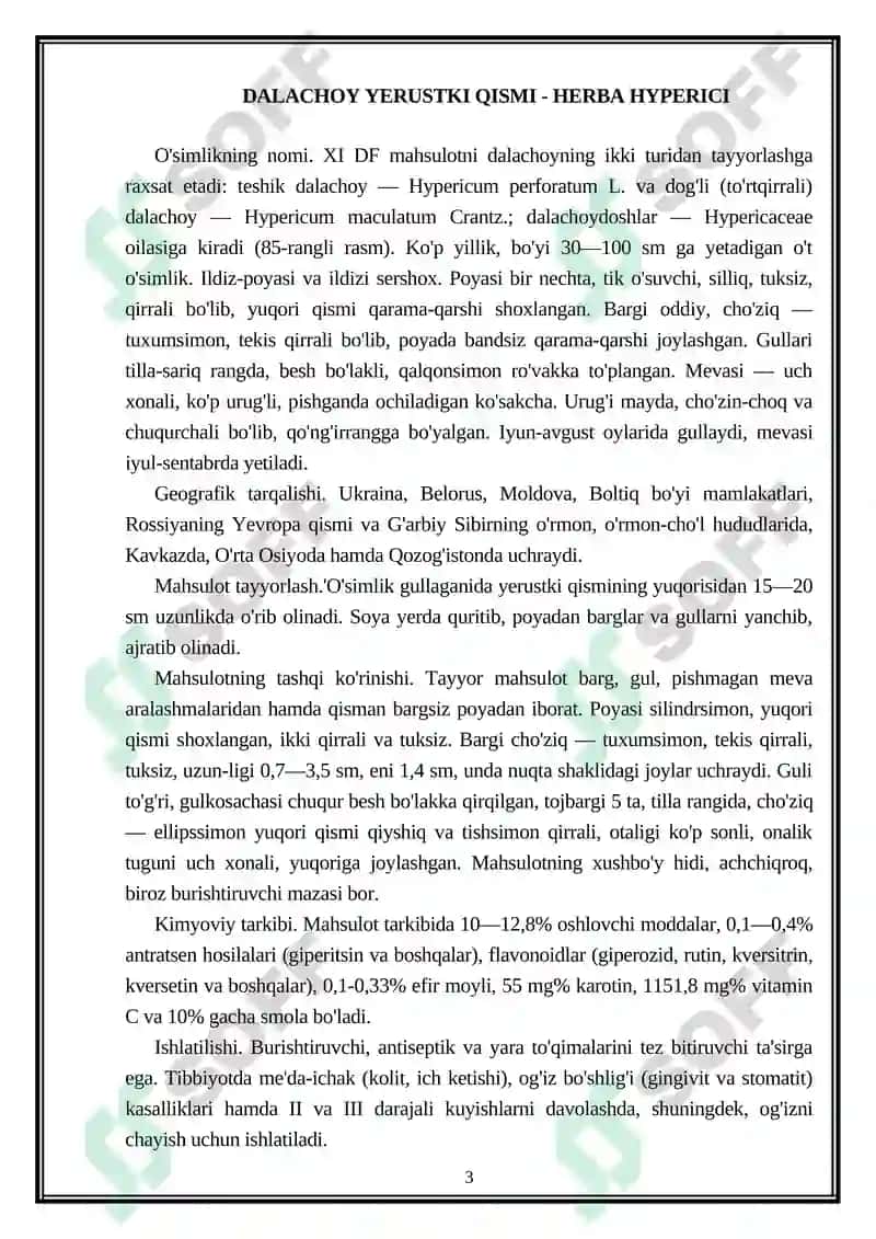 Dalachoy Yerustki Qismi - Herba Hyperici 3