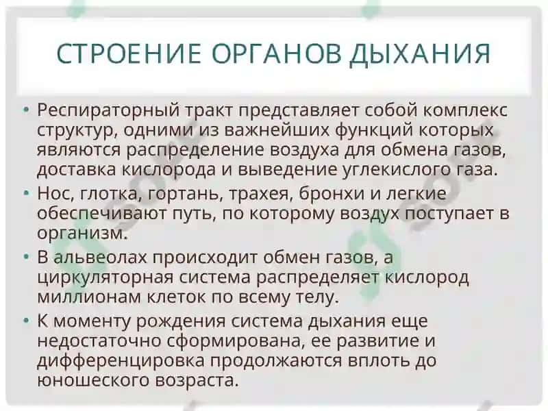 АНАТОМО-ФИЗИОЛОГИЧЕСКИЕ ОСОБЕННОСТИ ОРГАНОВ ДЫХАНИЯ У ДЕТЕЙ 3
