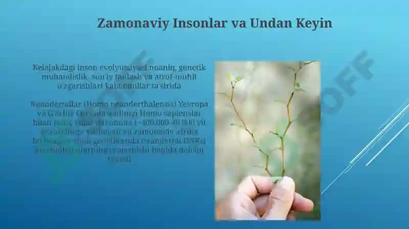 Zamonaviy Insonlar va Undan Keyin 3