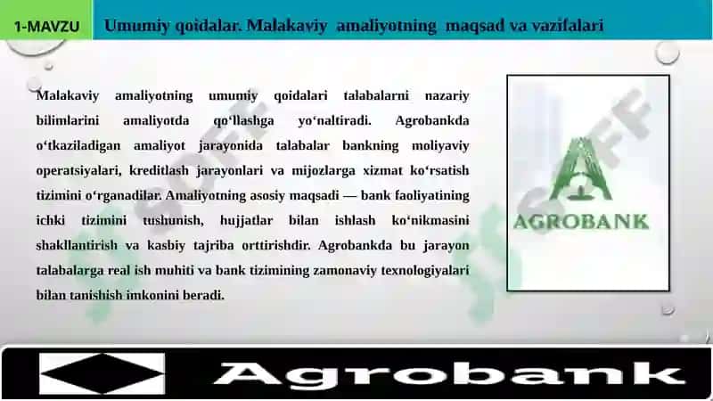 Malakaviy Amaliyot Hisoboti agro bank 3