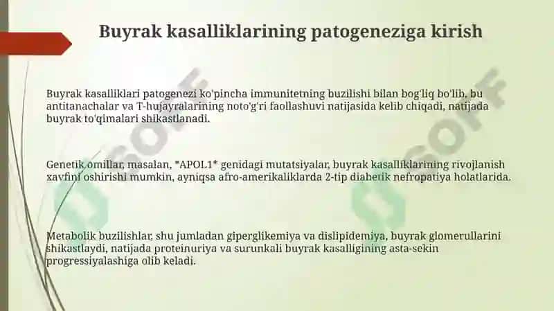 Buyrakkasalliklaripatogenezi 3