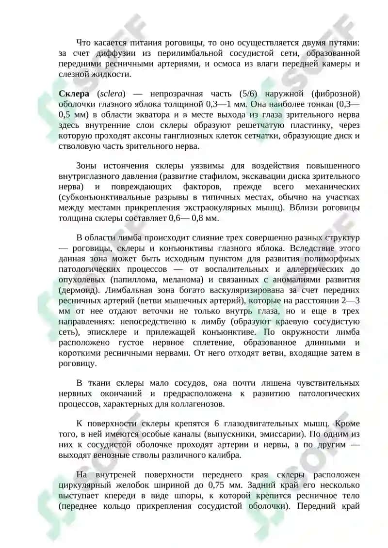 НОРМАЛЬНАЯ АНАТОМИЯ ОРГАНА ЗРЕНИЯ ЧЕЛОВЕКА 3