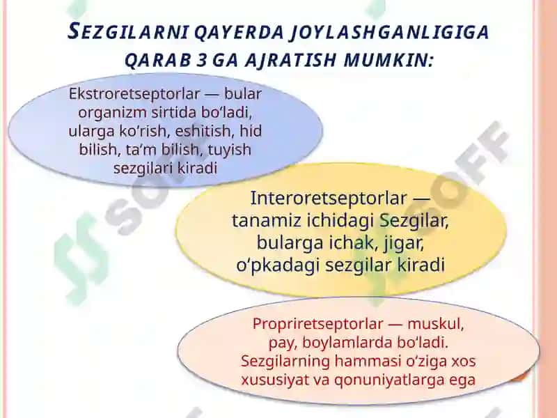 Sezgi haqida tushuncha.Sezgi turlari 3