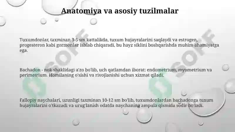 Ayollar reproduktiv tizmini fiziologiyasi 3