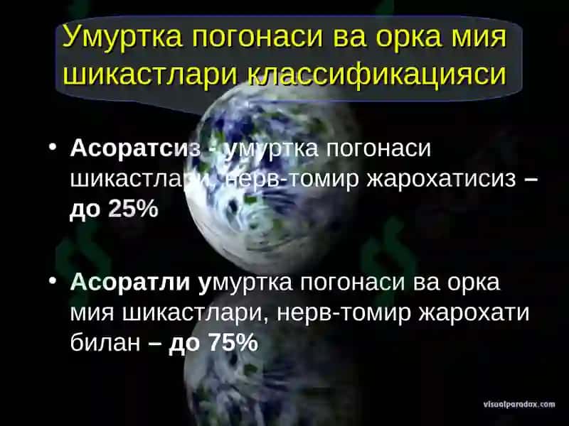 Умуртка погонаси ва орка мия шикастлари 3