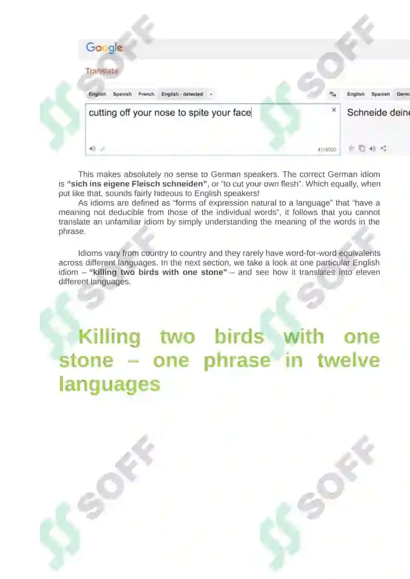 Ultimate Guide to Translating Idioms 3