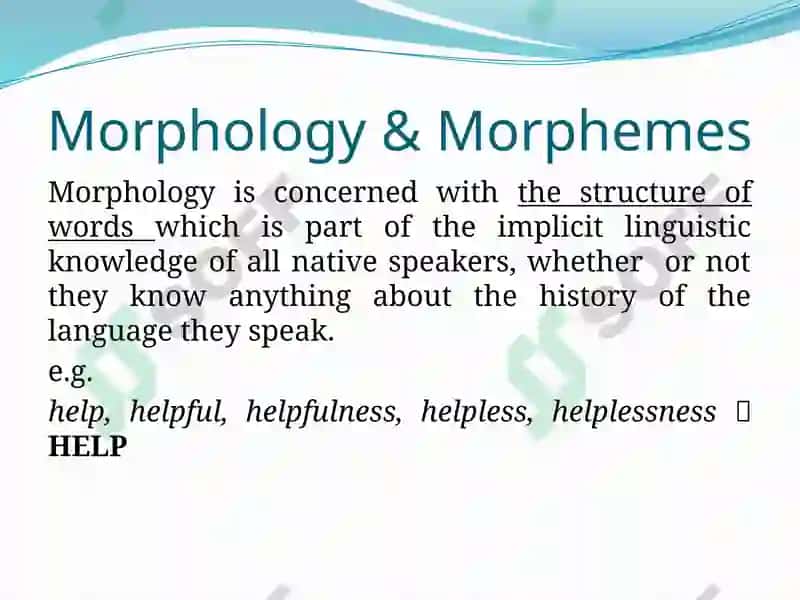 The morphemic structure of the word 3