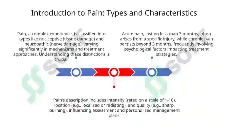 Understanding Pain: Types and Characteristics 3