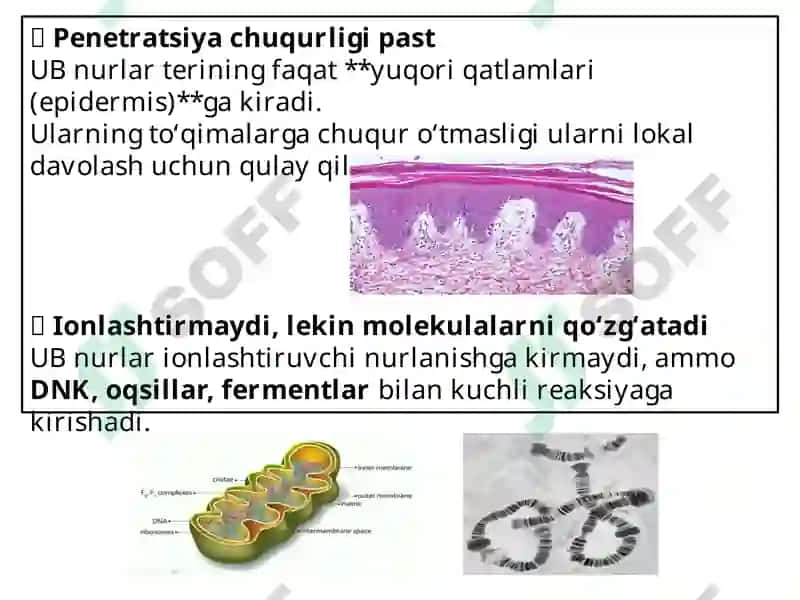 Ultrabinafsha nurlar bilan davolash 3