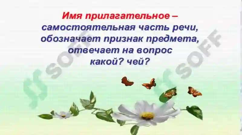 Презентация на тему ИМЯ ПРИЛАГАТЕЛЬНОЕ 3
