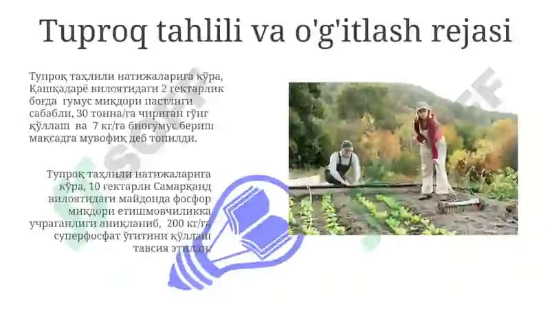 Sabzavot Ekinlarini Organik O'g'itlash Texnologiyalari 3