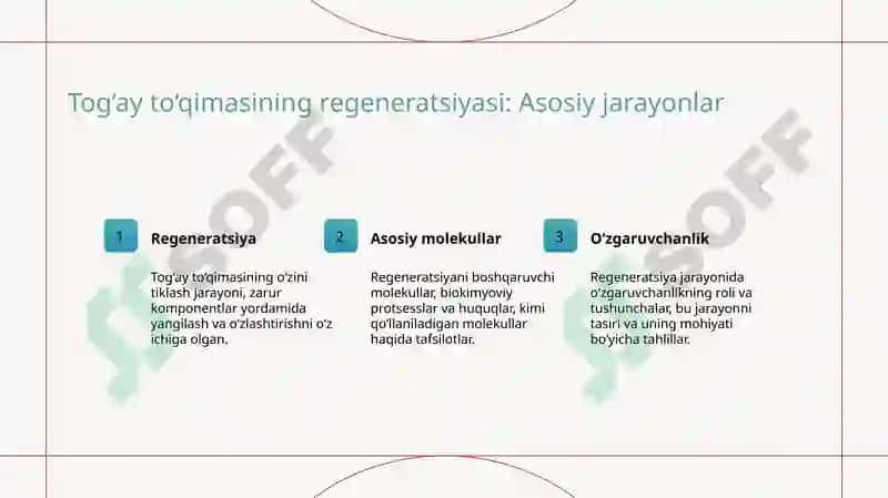 Tog‘ay to‘qimasining regeneratsiyasi va transplantatsiyasi.Suyak to‘qimasing minerallashuvi,uning tartibga solinishi va buzilishlari. Suyakning o‘sishiga tasir qiluvchi omillar 3
