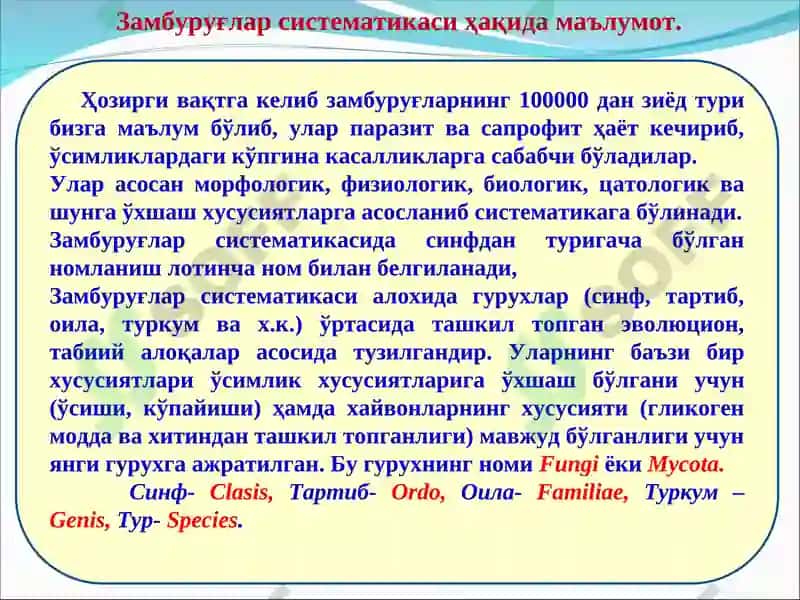 Замбуруғларнинг систематикаси. Хитридиомицетлар синфининг тавсифи 3